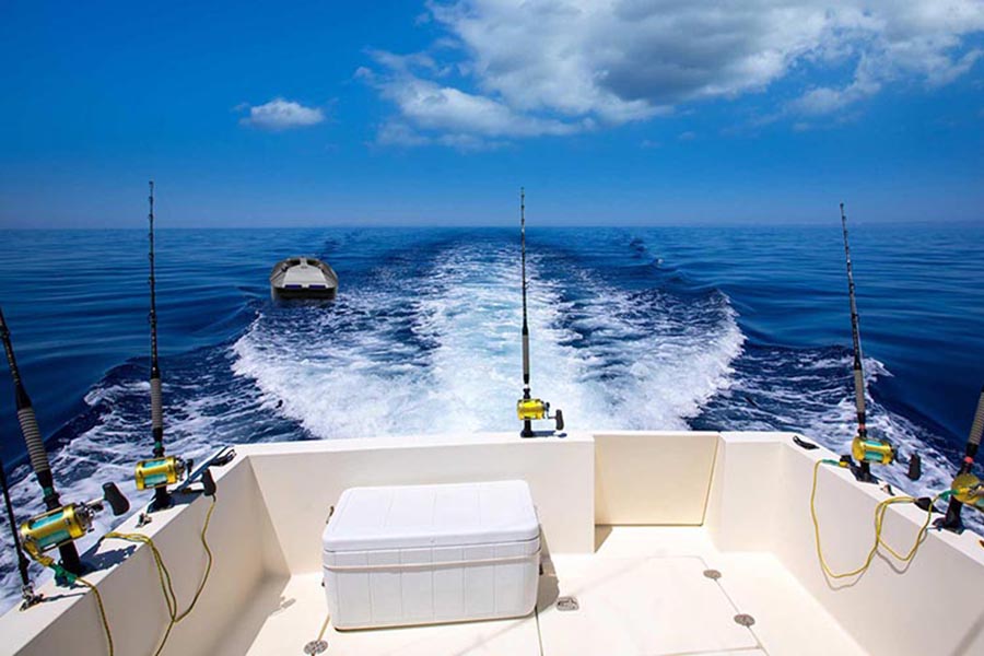 rc bait boat sea fishing