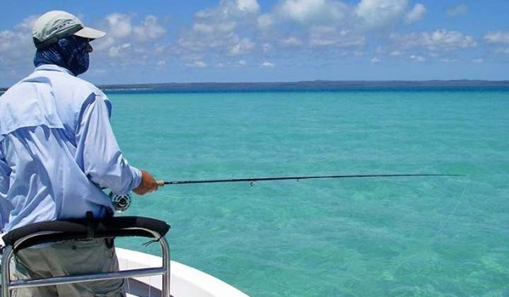 North Australian Fish Finder - Fishing Cairns